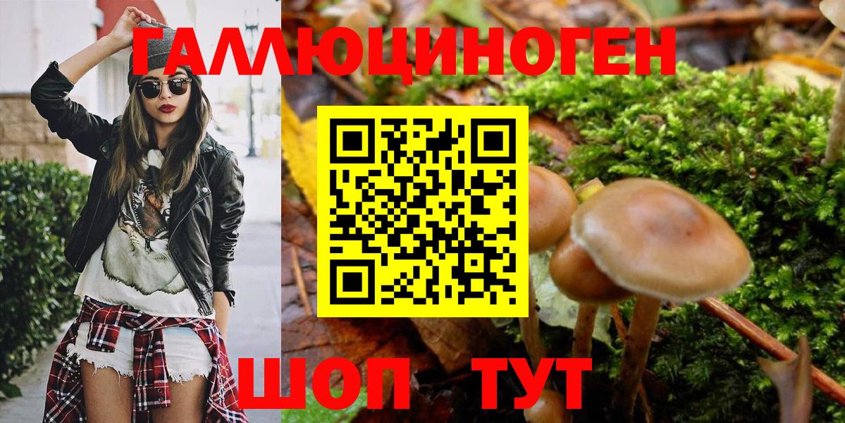 закладка  Вход с VPN  Чапаевск  Псилоцибиновые грибы Psilocybine cubensis 